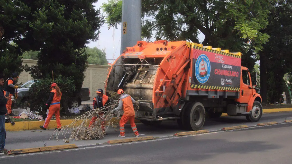 carro de basura programa